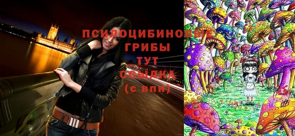 герыч Вяземский