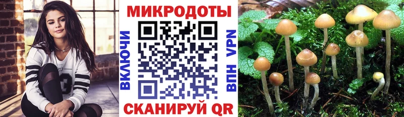 маркетплейс какой сайт  закладка  Томилино  Псилоцибиновые грибы GOLDEN TEACHER 